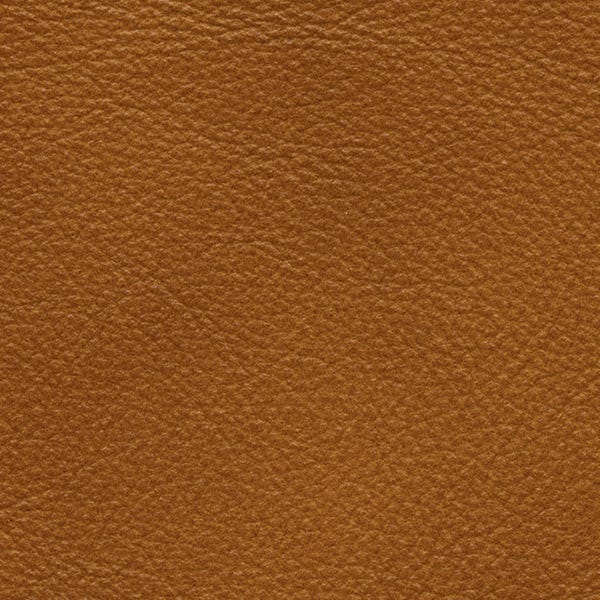 P/Cognac